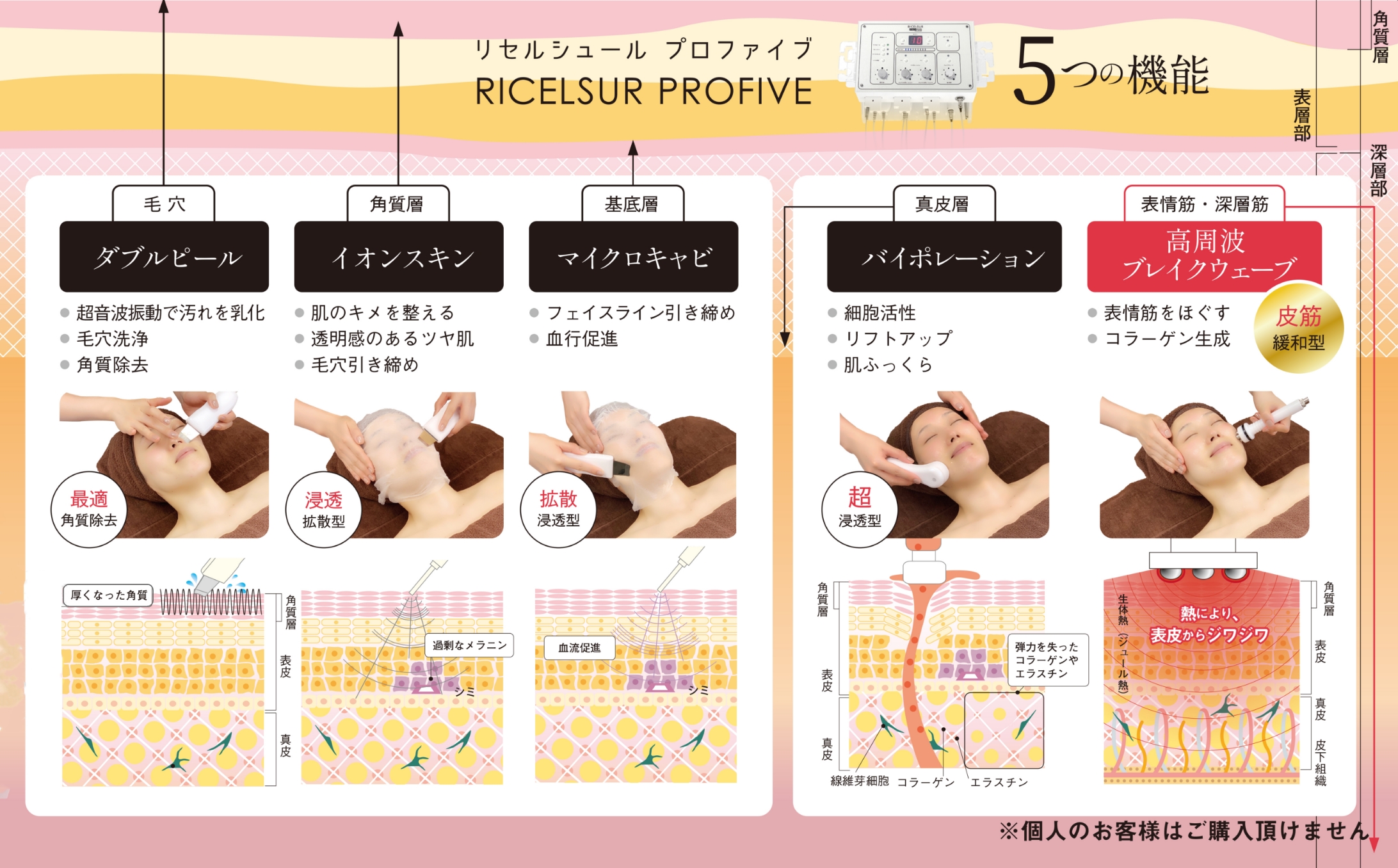 RICELSUR PROFIVE | 株式会社スタンダード・プロ