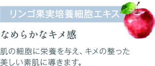 りんご果実培養細胞エキス