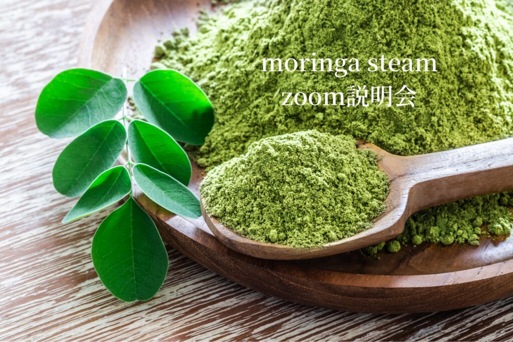 モリンガスチーム Zoom説明会
